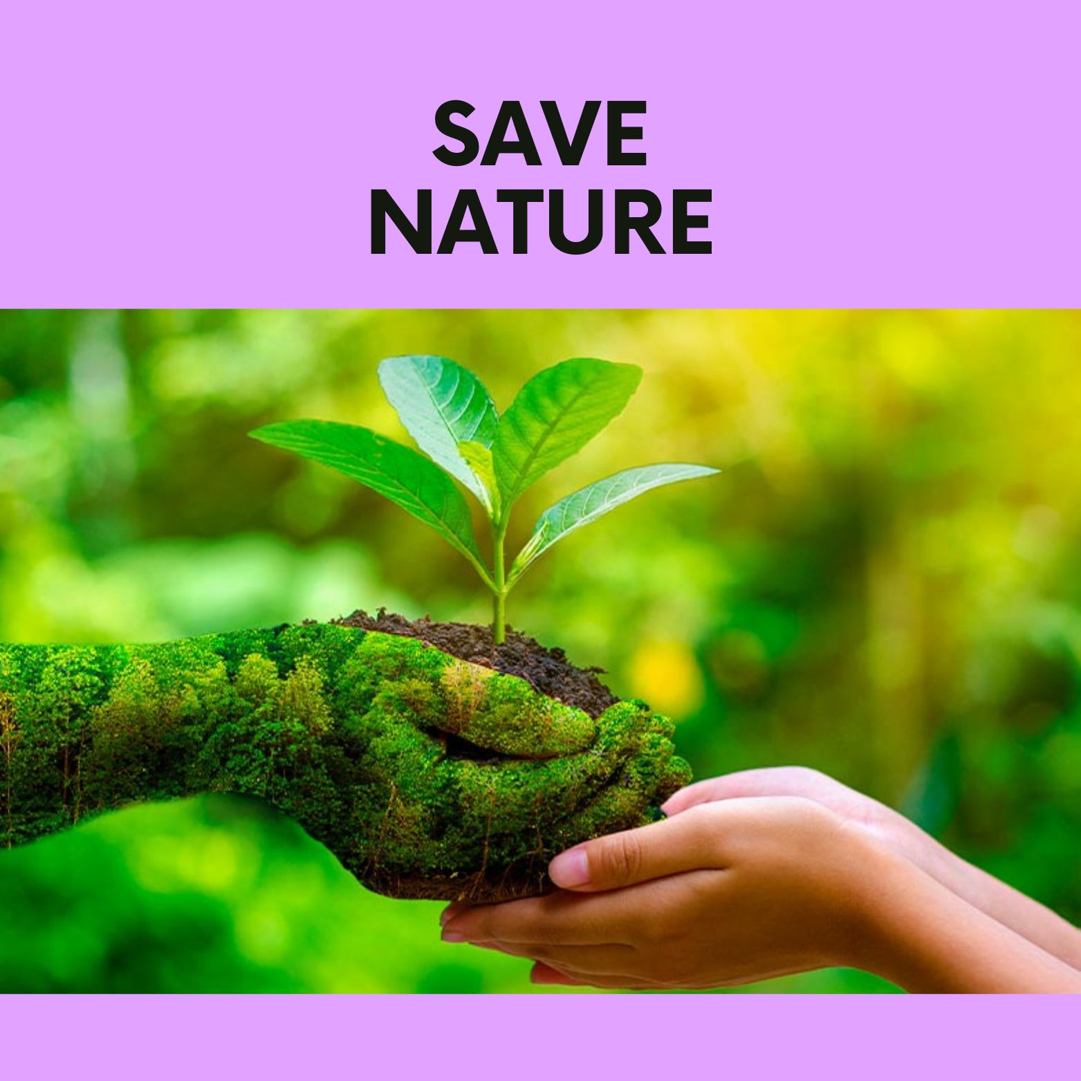 Save Nature