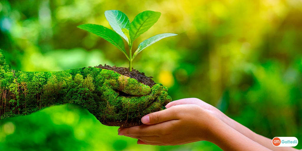 Save Nature