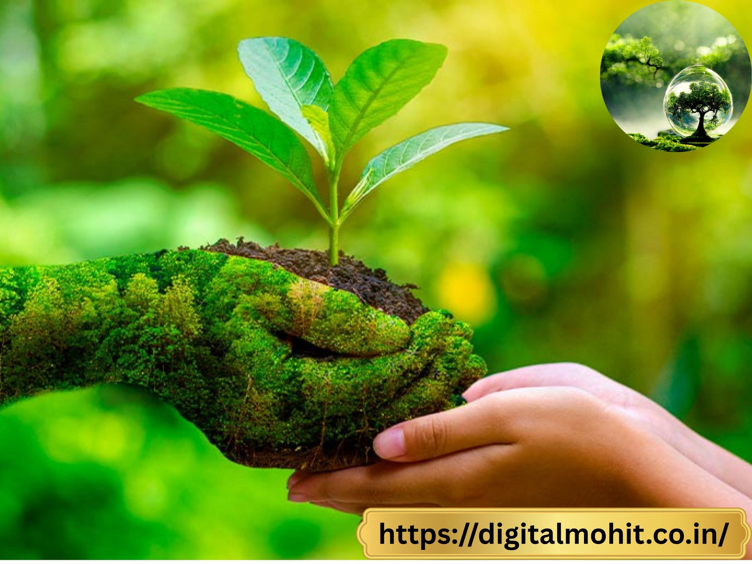 Save Nature