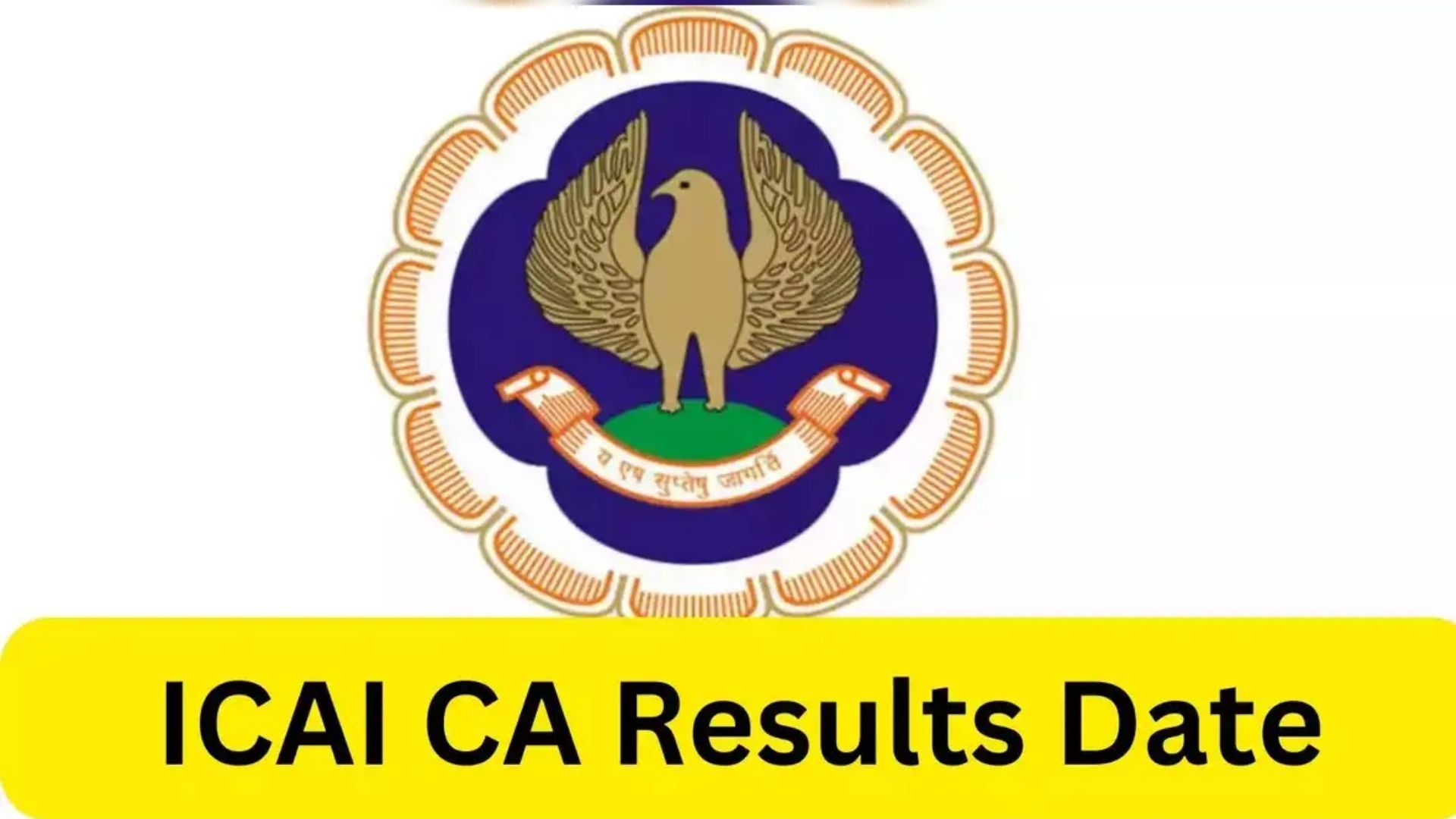 ICAI Result 2025